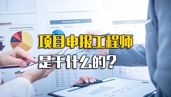 项目申报工程师是干什么的