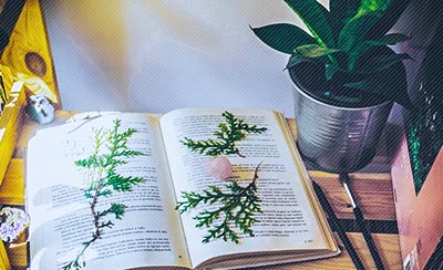 HR会嫌弃频繁跳槽者吗？