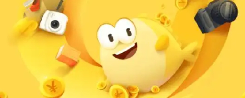 闲鱼需确提是什么意思