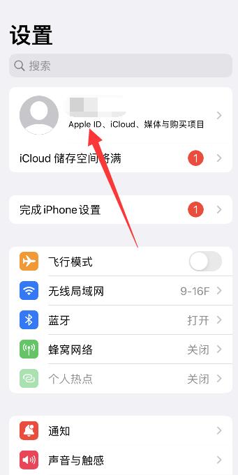 苹果手机在哪里取消自动续费