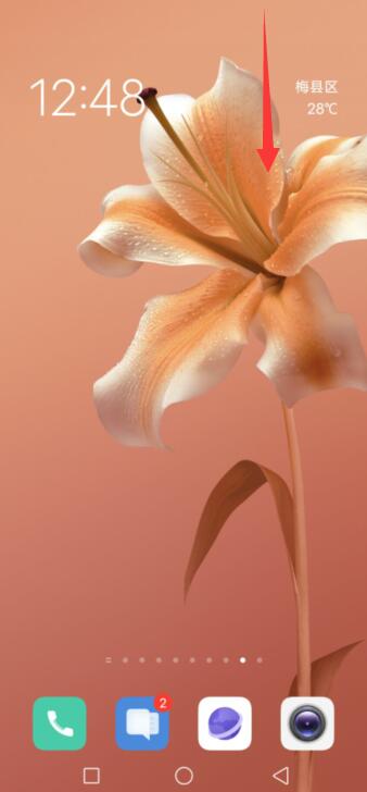 vivo手机屏幕旋转设置在哪里